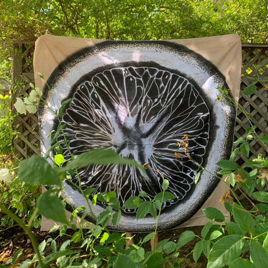 blood orange - tapestry