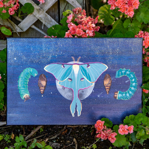 phases of la luna - fine art print – illustrasuns