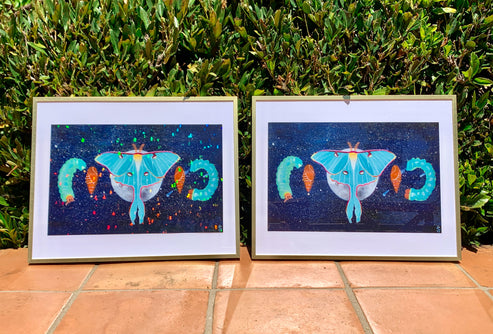 phases of la luna - fine art print – illustrasuns