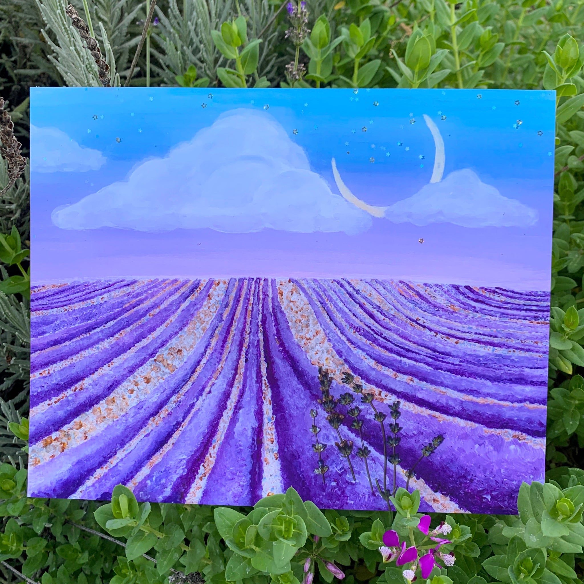 lavender fields fine art print illustrasuns